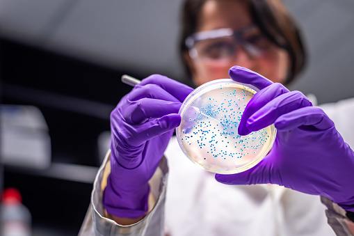 Master of Science [M.Sc] Biomedical Engineering