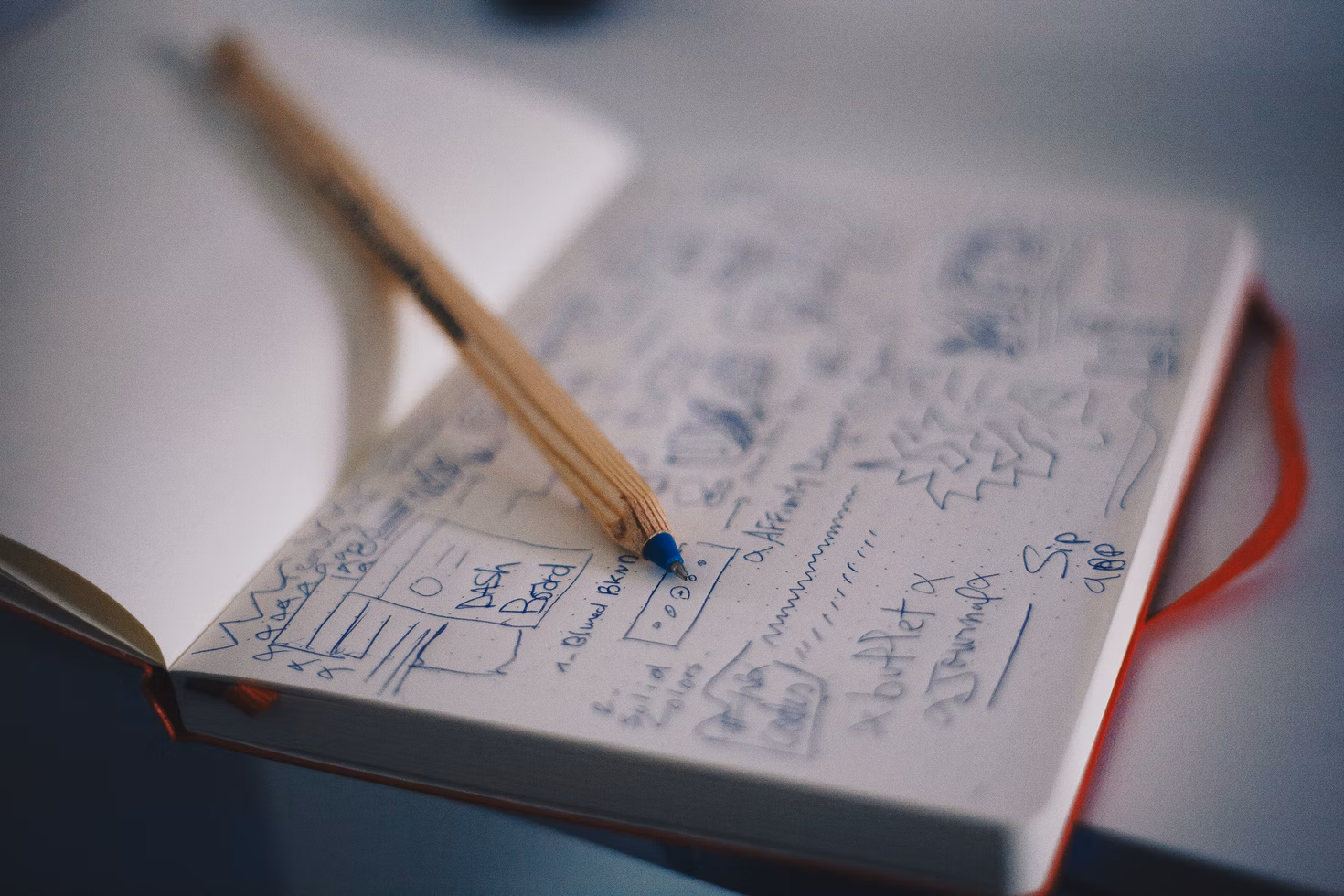 Bachelor Web Design and New Media