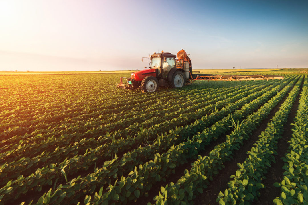 Agri-Business Management BSc Honours