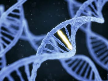 Biomedical Genetics BSc Honours