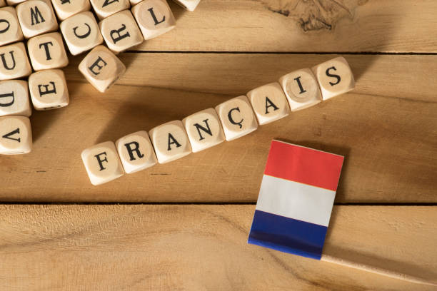 Bachelor of Arts [B.A] French