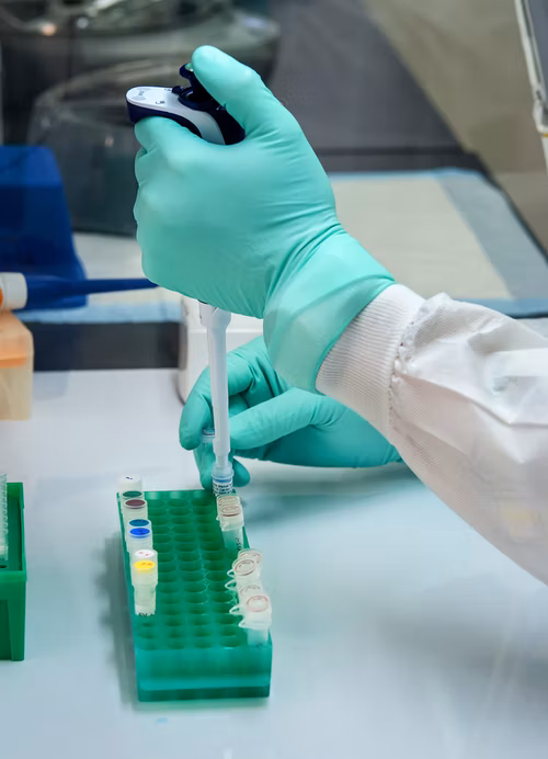 Master of Science [M.Sc] Molecular, Cellular and Developmental Biology