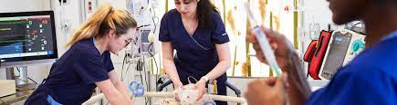 Honours Bachelor of Science – Nursing