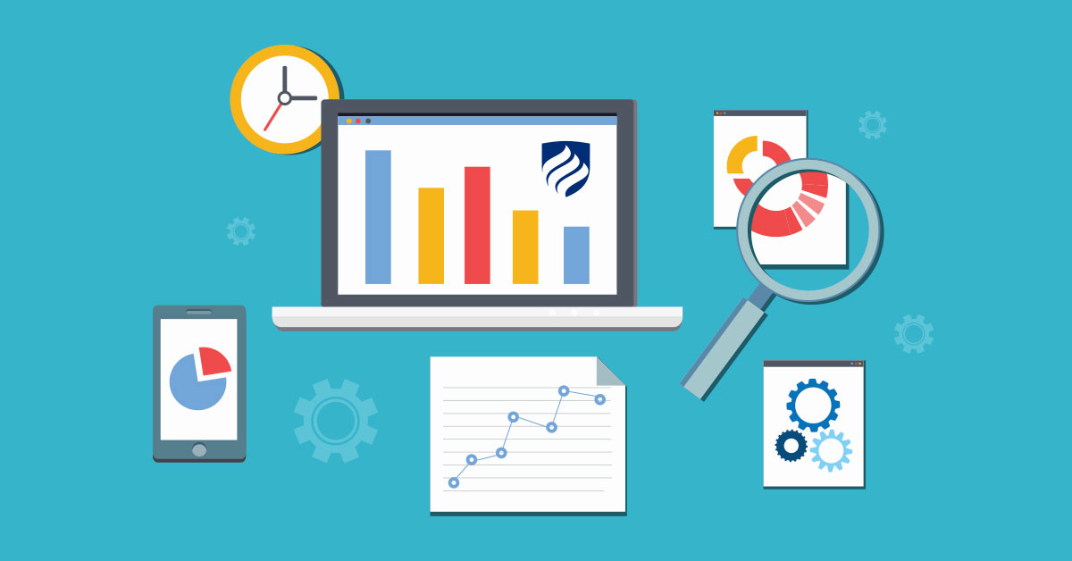 STRATEGIC RELATIONSHIP MARKETING PROGRAM