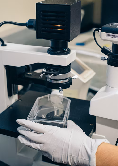 Bachelor of Science [B.Sc] Biology