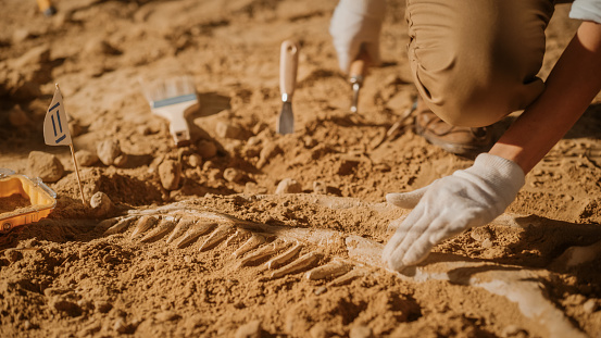 Master of Science [M.S] Archaeological Science (Advanced)