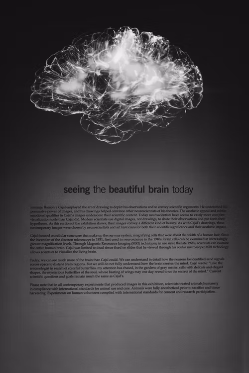 Master of Science [M.Sc] Neuroengineering